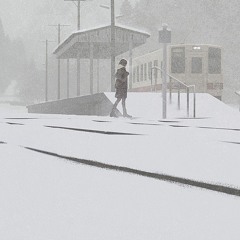 Snowstorm