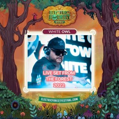 WHITE OWL - LIVE AT ELECTRIC FOREST 2022