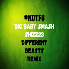 Different Beasts Remix ft. Shizz23