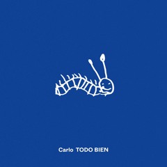 Carlo - Todo Bien - LP (BIST2024)