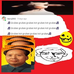 KOT GRUBAS
