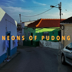 Neons of Pudong