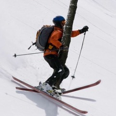 Perceptual Narrowing: How to avoid what you don't want to hit in 2022