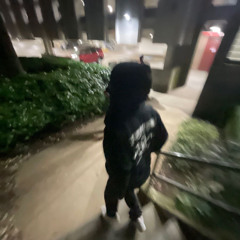 BT23 - T0kyo SWAG (P. meteor junior x anx1ous x skreer)