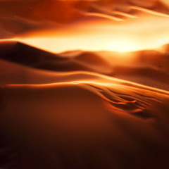 Synesthetic Journey
