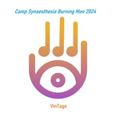 Camp Synaesthesia Burning Man 2024