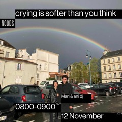 Noods Radio #8 - crying is softer than you think (to you Tiphaine), Mari & ani dj (12/11/23)