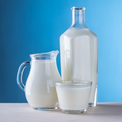 Milk Is A Mammalian Innovation