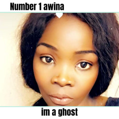 Number1awina - im a ghost