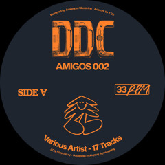 Premiere: Pan-J It's Too Late [DDC008 - AMIGOS 002]