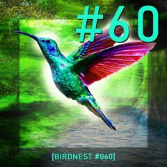 BIRDNEST #060 | SsOunday in Deep Flight | Podcast by The Lahar