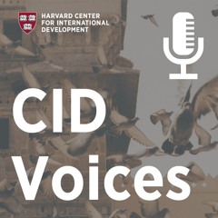 Fueling International Development Through Narrative