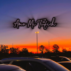 Amo mi tufich ft Emily x Dicky (cvr)