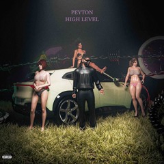 PEYTON - HIGH LEVEL