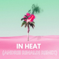 In Heat (Andrei Rinaldi Remix)