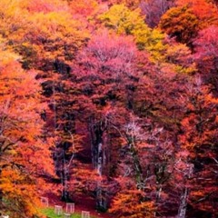 Virus de la chute des feuilles
