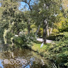 119 / Hashii / 06.11.24