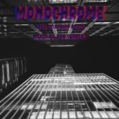 Monochrome [Prod. By Spacey Beatz] (MIXED BY ROB $URREAL)