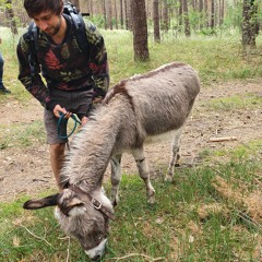Der alte Mann und das Pferd.m4a