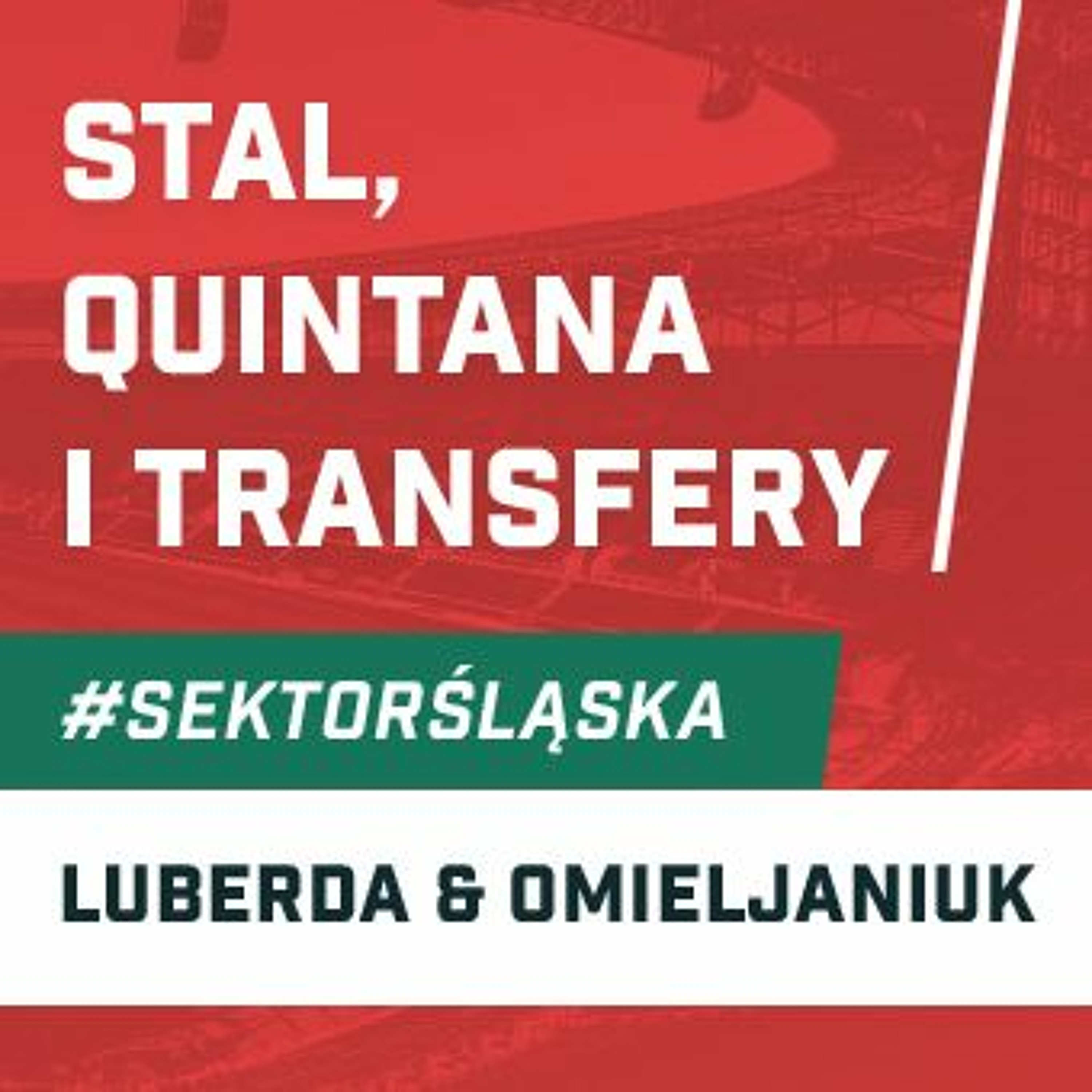 Śląsknet
