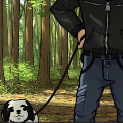 bürgergeld freastyle