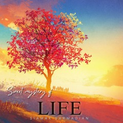 Sweet Mystery Of Life