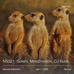NS021: Golem, Mind2motion, DJ Buck