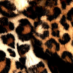 Swgovrh**’s (jwadee  omgseii)