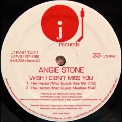 Wish I Didn't Miss You (Hex Hector / Mac Quayle Vibe Mix) (2002)