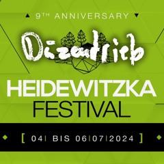 Düzentrieb @ Heidewitzka Festival 2024 // Bunker