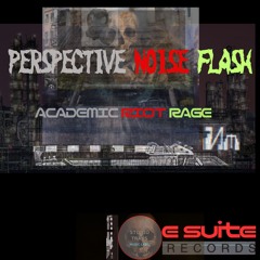 PERSPECTIVE NOISE FLASH