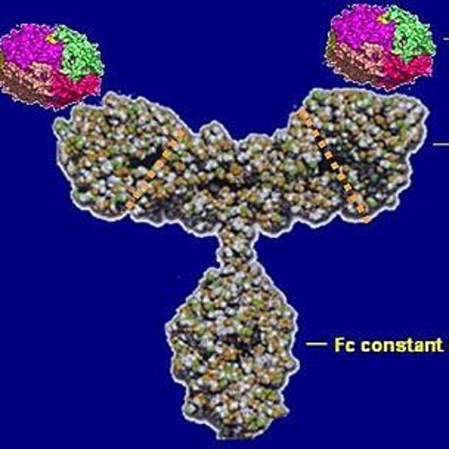 Infliximab