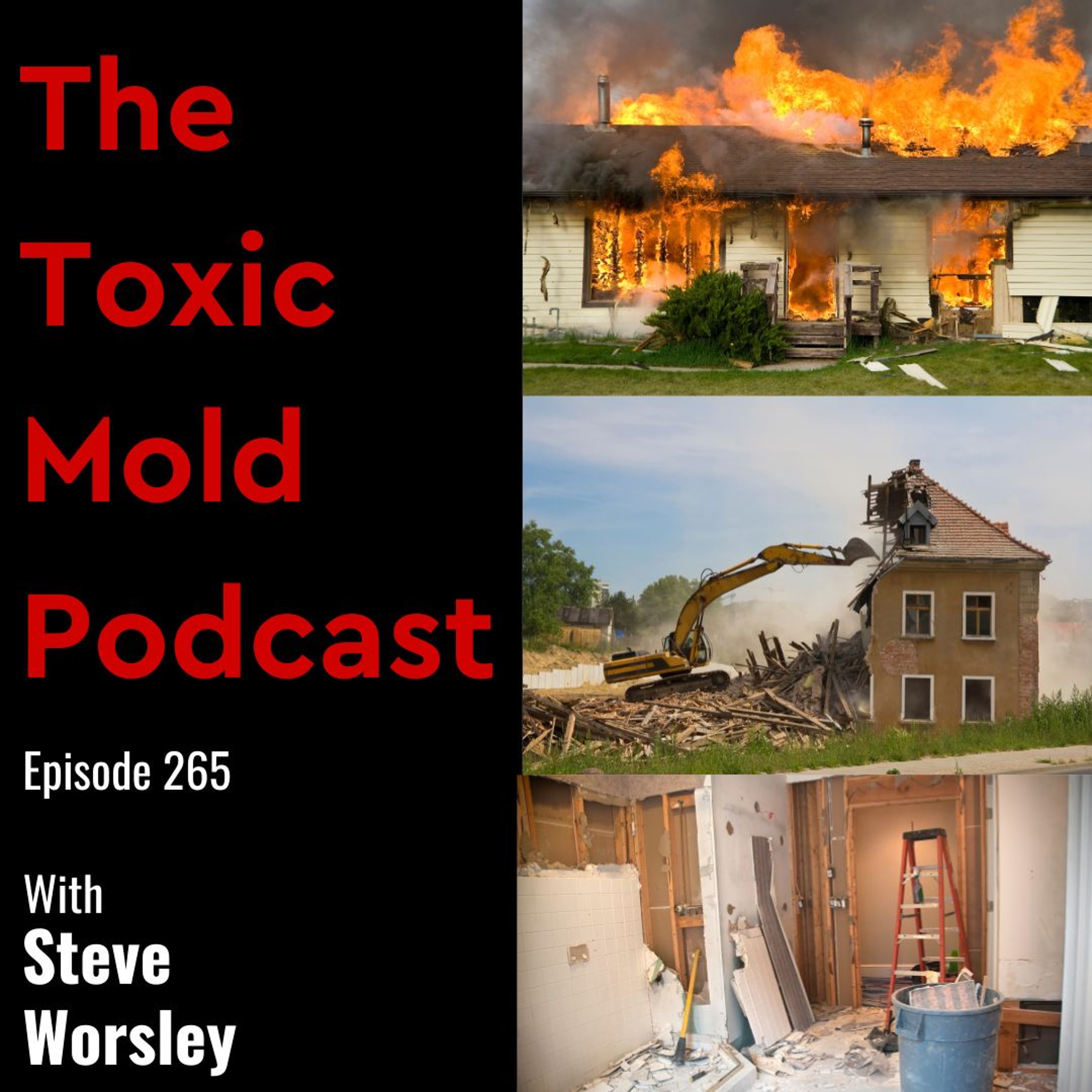 The Toxic Mold Podcast