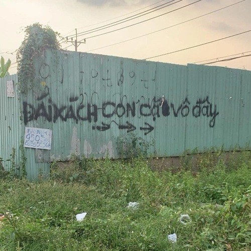 NHẠC CON CẶC ft thái giám lil quyên khờ