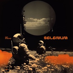 PRT Stacho - Selenium (Daniel Broesecke, Martin M Remixes) // MNRVR002
