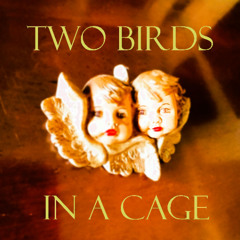Two Birds in a Cage