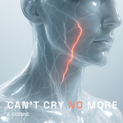 Can’t Cry No More (Instrumental)