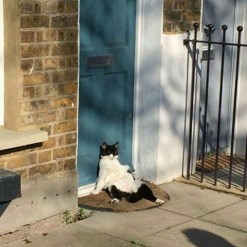 STBB 970 ~ Basically, blessed