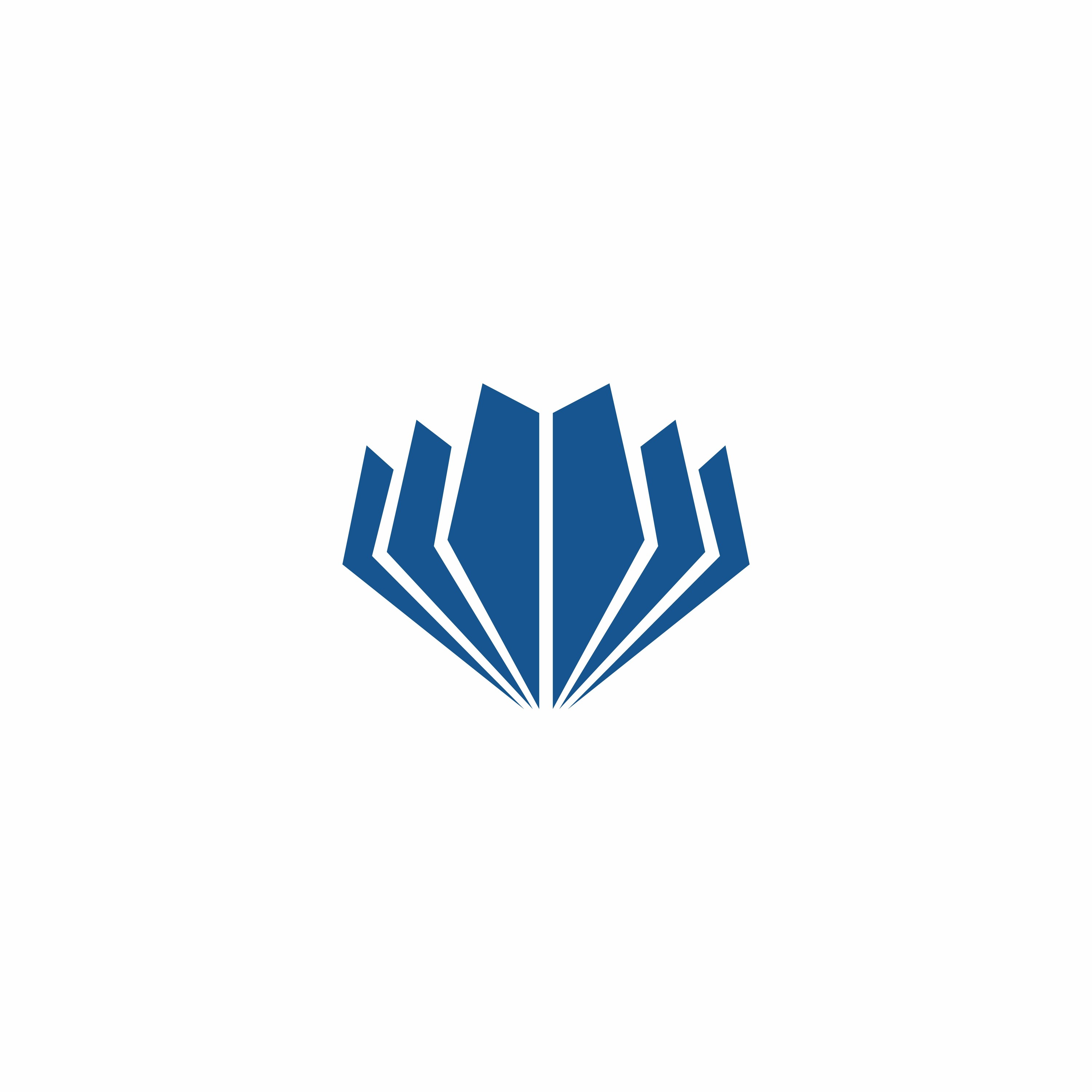 Shapell\'s/MRC Virtual Beit Midrash