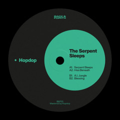 𝗣𝗥𝗘𝗠𝗜𝗘𝗥𝗘 | Hopdop - Hiss Beneath [B&F03]