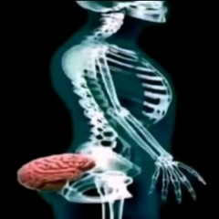 brain damage *snippet*