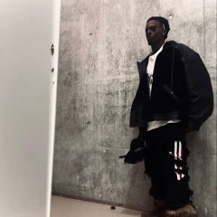 PlayboiCarti - CRANK (ALIVE INTRO from TikTok)