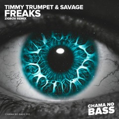 Timmy Trumpet & Savage - Freaks (ZIGROV Remix)