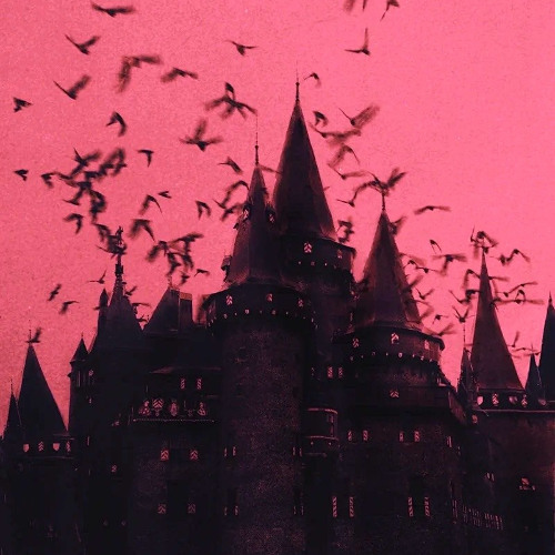 you can find me 🦇🦇🦇 (prod helpless)