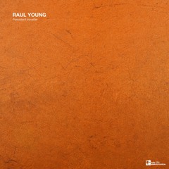 Raul Young - Persistent Traveller (Original Mix)