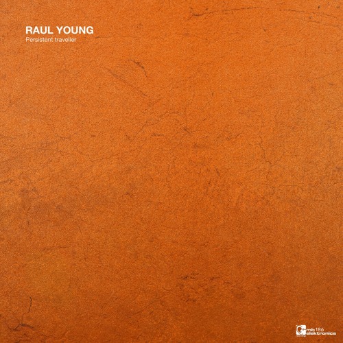 Raul Young - Persistent Traveller (Original Mix)