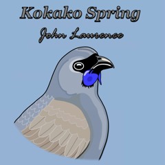 Kokako Spring