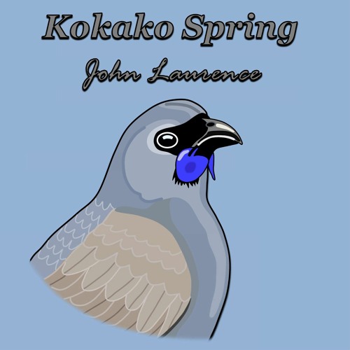 Kokako Spring