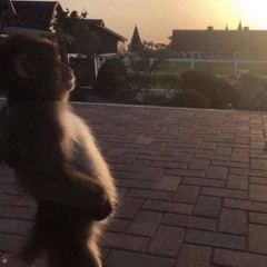drunkfreestyle (d5nger)