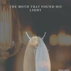 The Moth That Found His Light